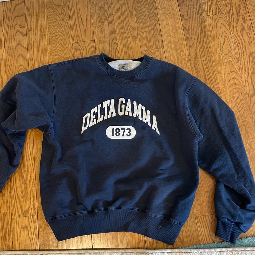 Champion Delta gamma sweatshirt Size M